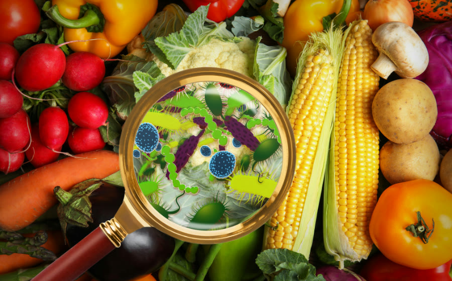 Segurança Alimentar: Como Garantimos a Qualidade de Suas Refeições