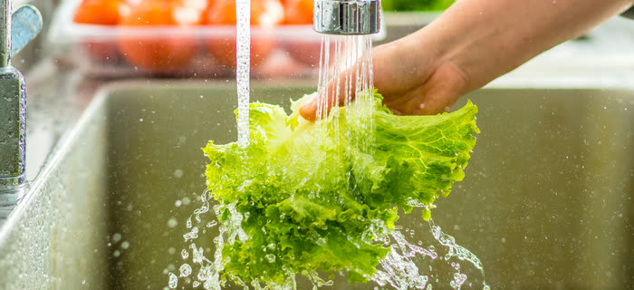 Higienização dos alimentos antes do preparo