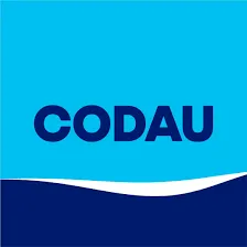 Codau